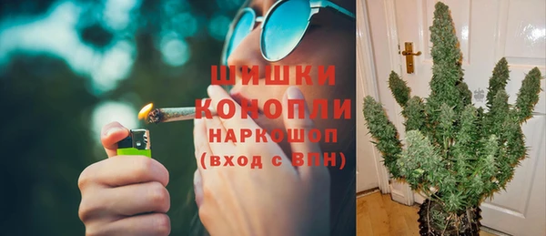 тгк Вяземский