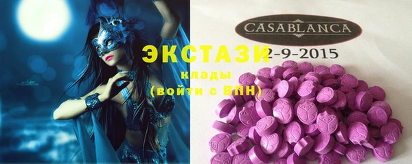 тгк Вяземский