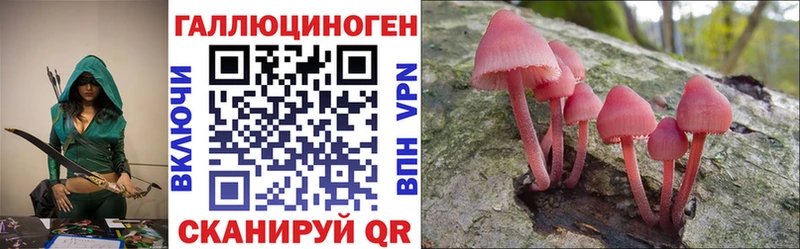 Псилоцибиновые грибы прущие грибы  Дно 